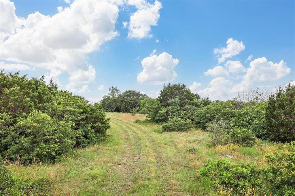 784.46 acres in Bosque County gallery image 4