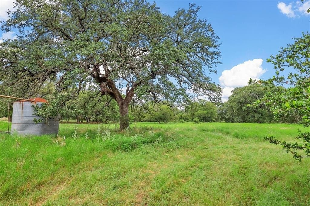 784.46 acres in Bosque County gallery image 3