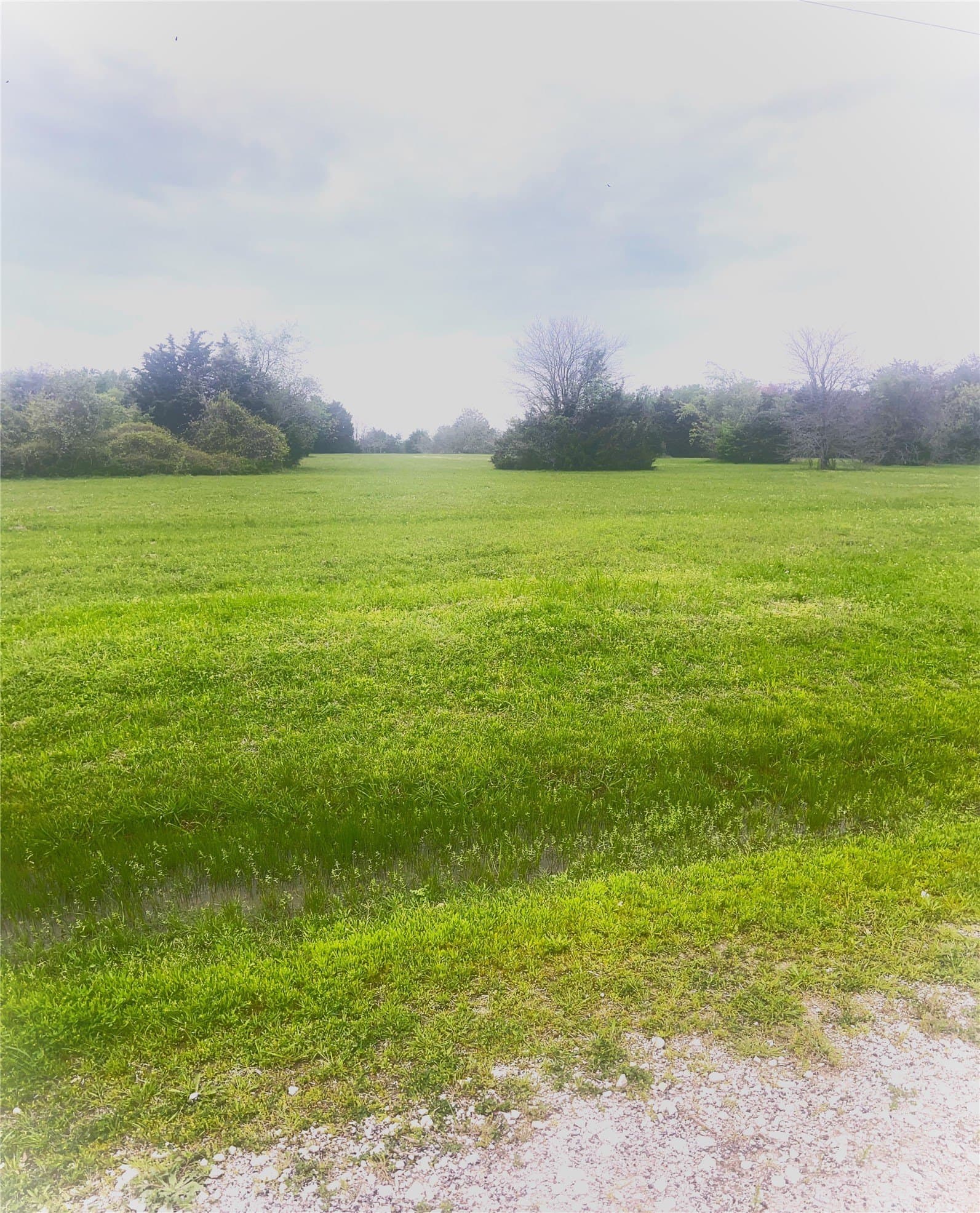 5.27 acres in Navarro County - photo 13