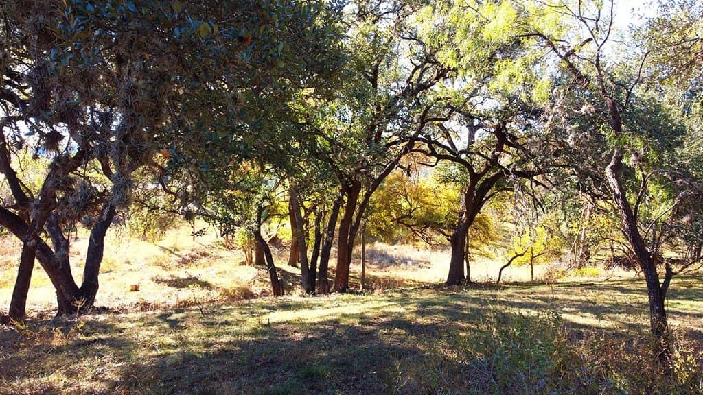 1.32 acres in Bandera County - photo 14