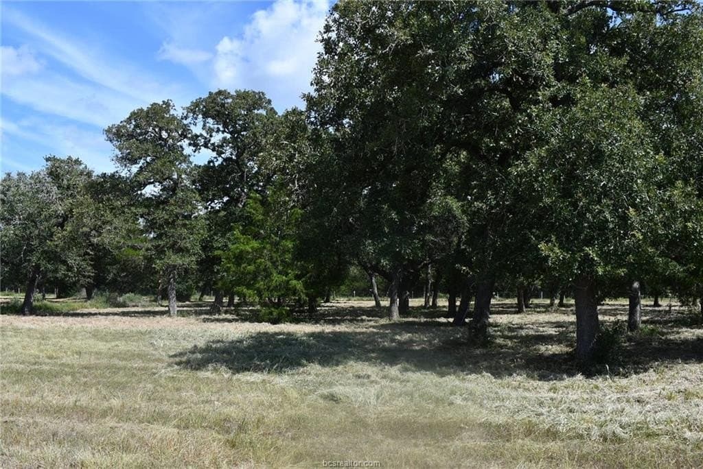 15 acres in Limestone County - photo 30