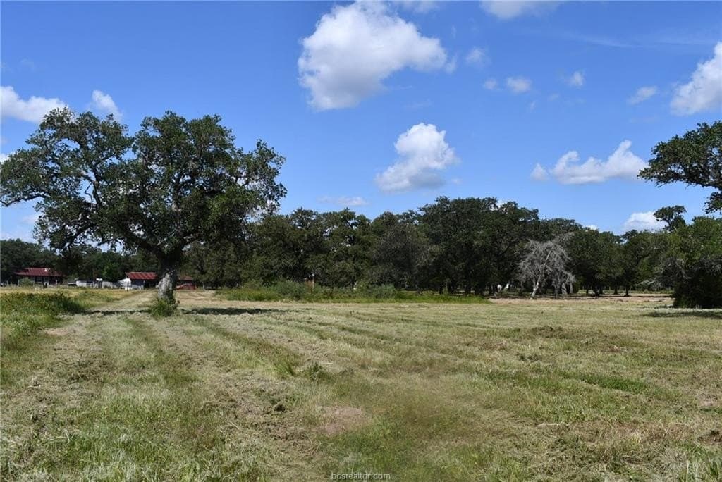 15 acres in Limestone County - photo 25