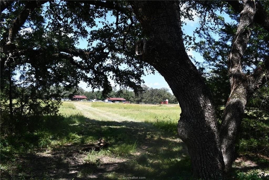 15 acres in Limestone County - photo 20