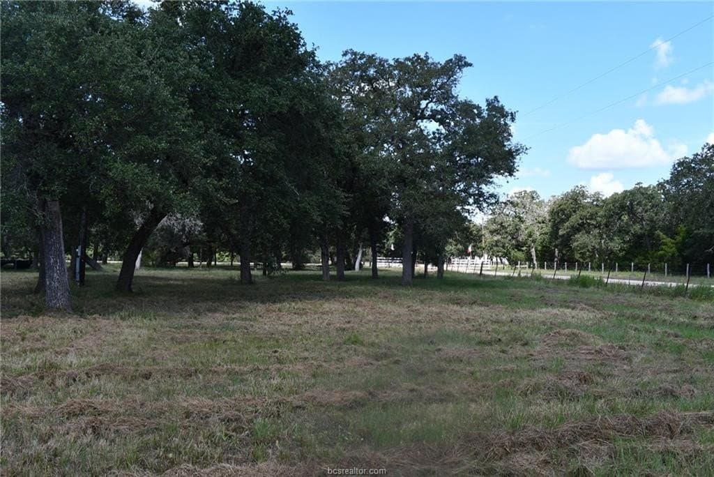15 acres in Limestone County - photo 5