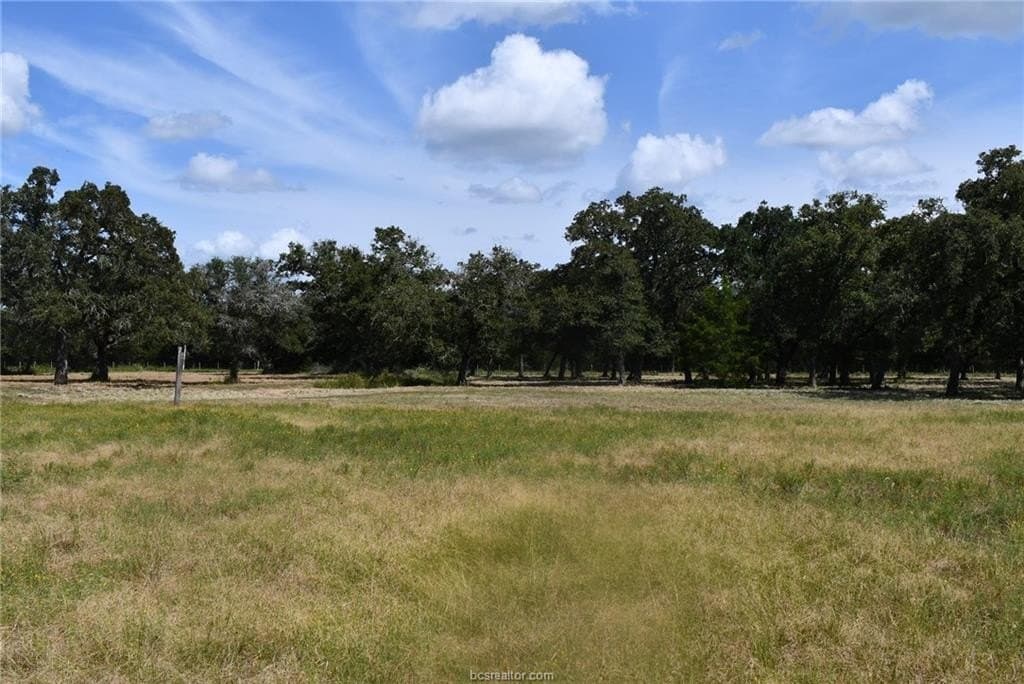 15 acres in Limestone County - photo 15