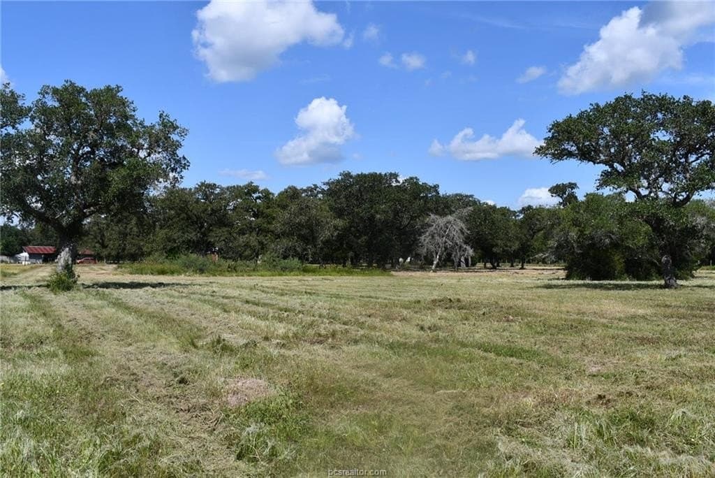 15 acres in Limestone County - photo 27