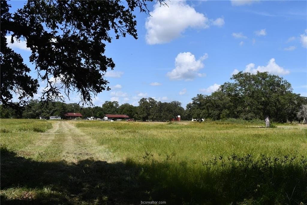 15 acres in Limestone County - photo 23