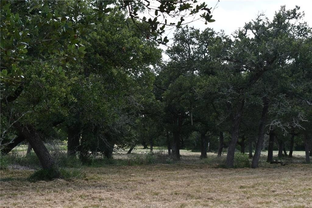 15 acres in Limestone County - photo 7