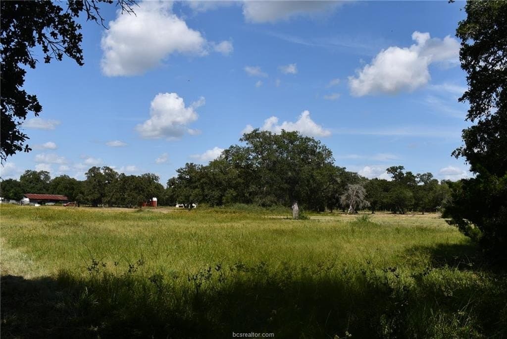 15 acres in Limestone County - photo 24