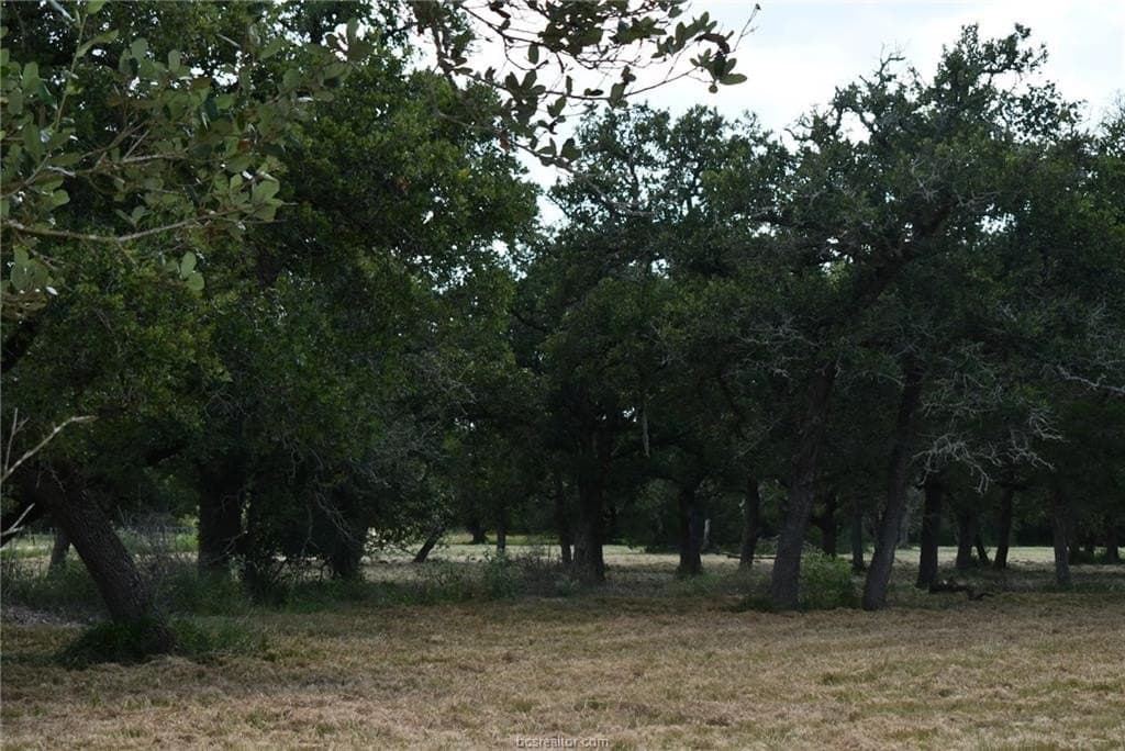 15 acres in Limestone County - photo 6
