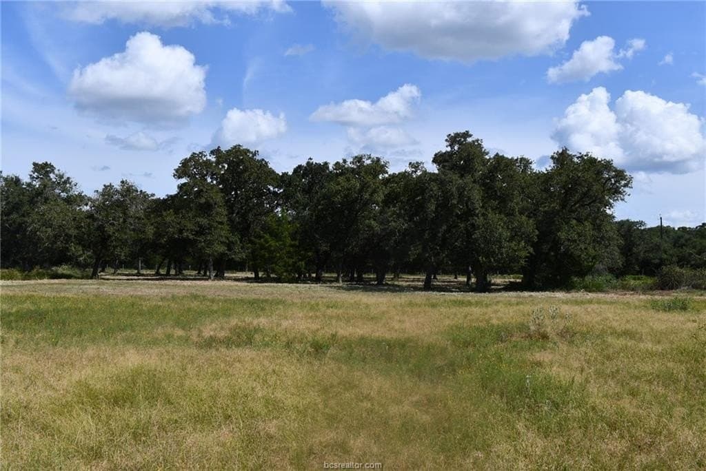 15 acres in Limestone County - photo 14