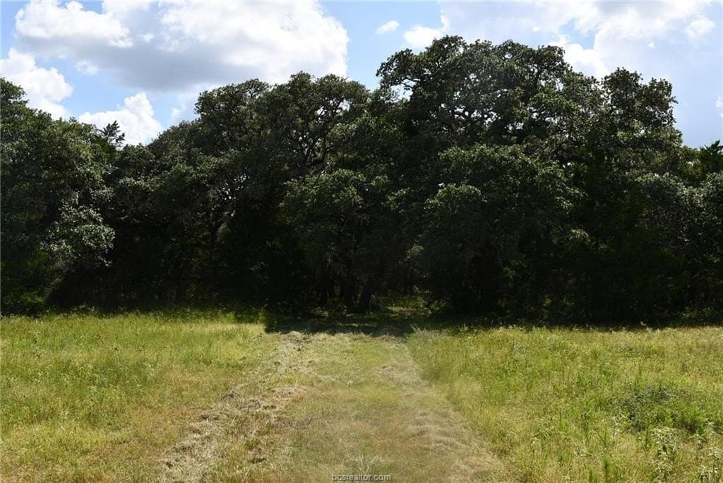 15 acres in Limestone County - photo 19