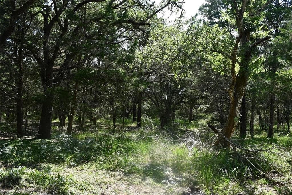 15 acres in Limestone County - photo 21