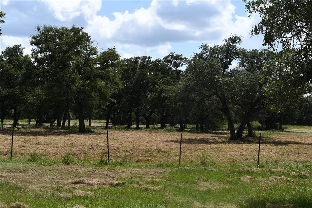 15 acres in Limestone County - photo 4