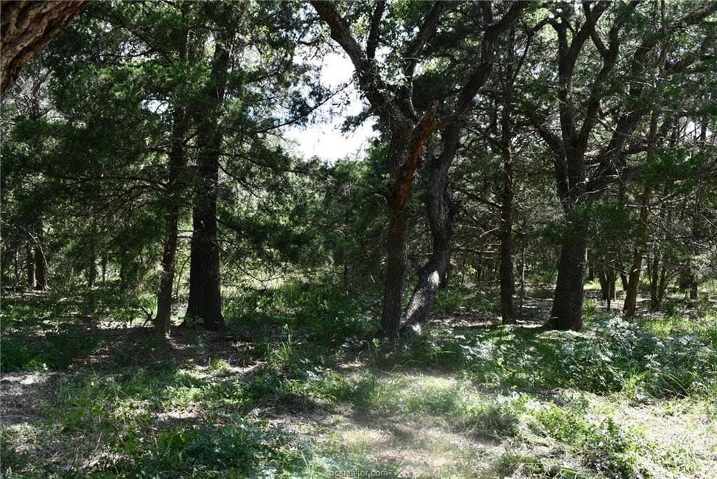 15 acres in Limestone County - photo 22