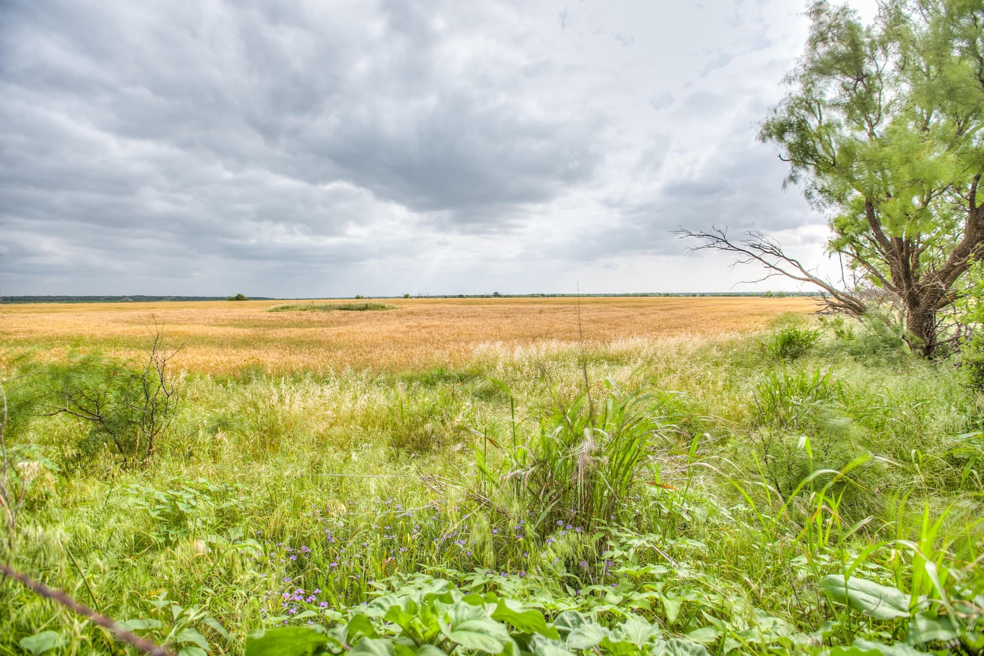166.71 acres in Runnels County - photo 8