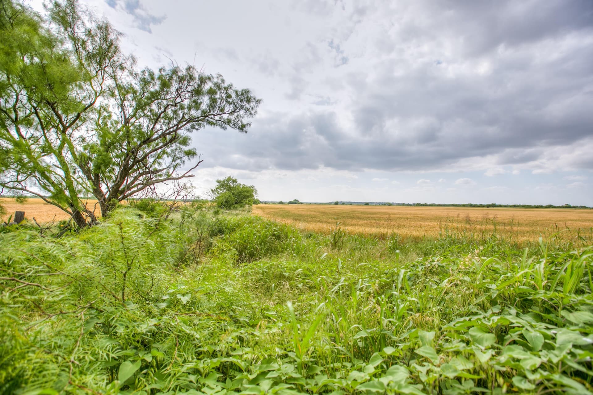 166.71 acres in Runnels County - photo 6