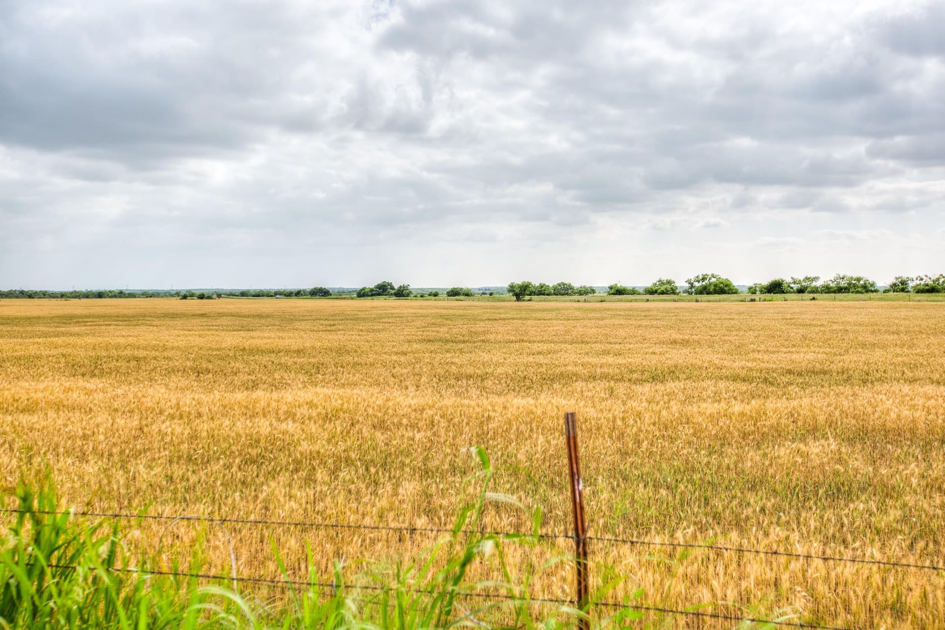 166.71 acres in Runnels County featured view