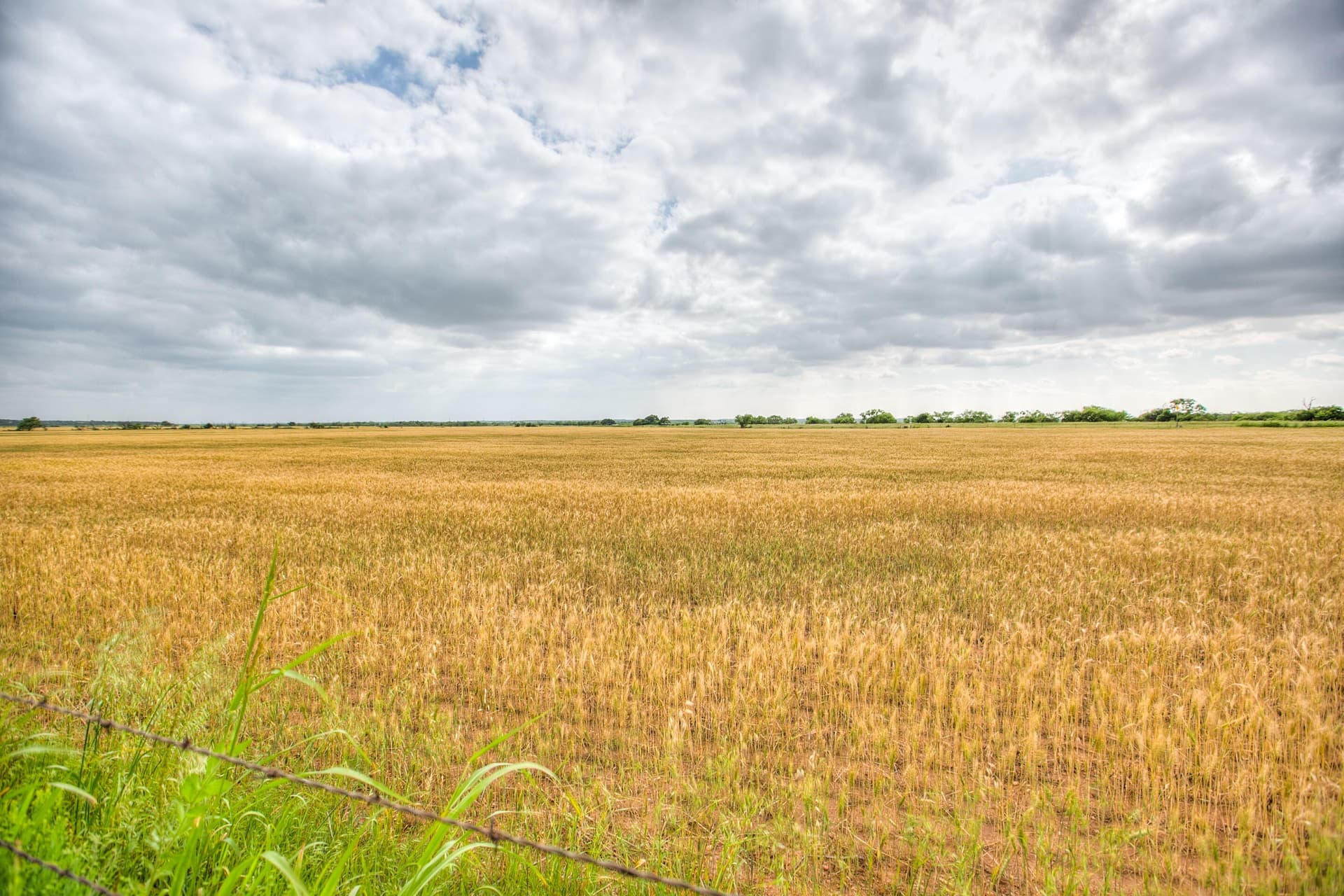 166.71 acres in Runnels County