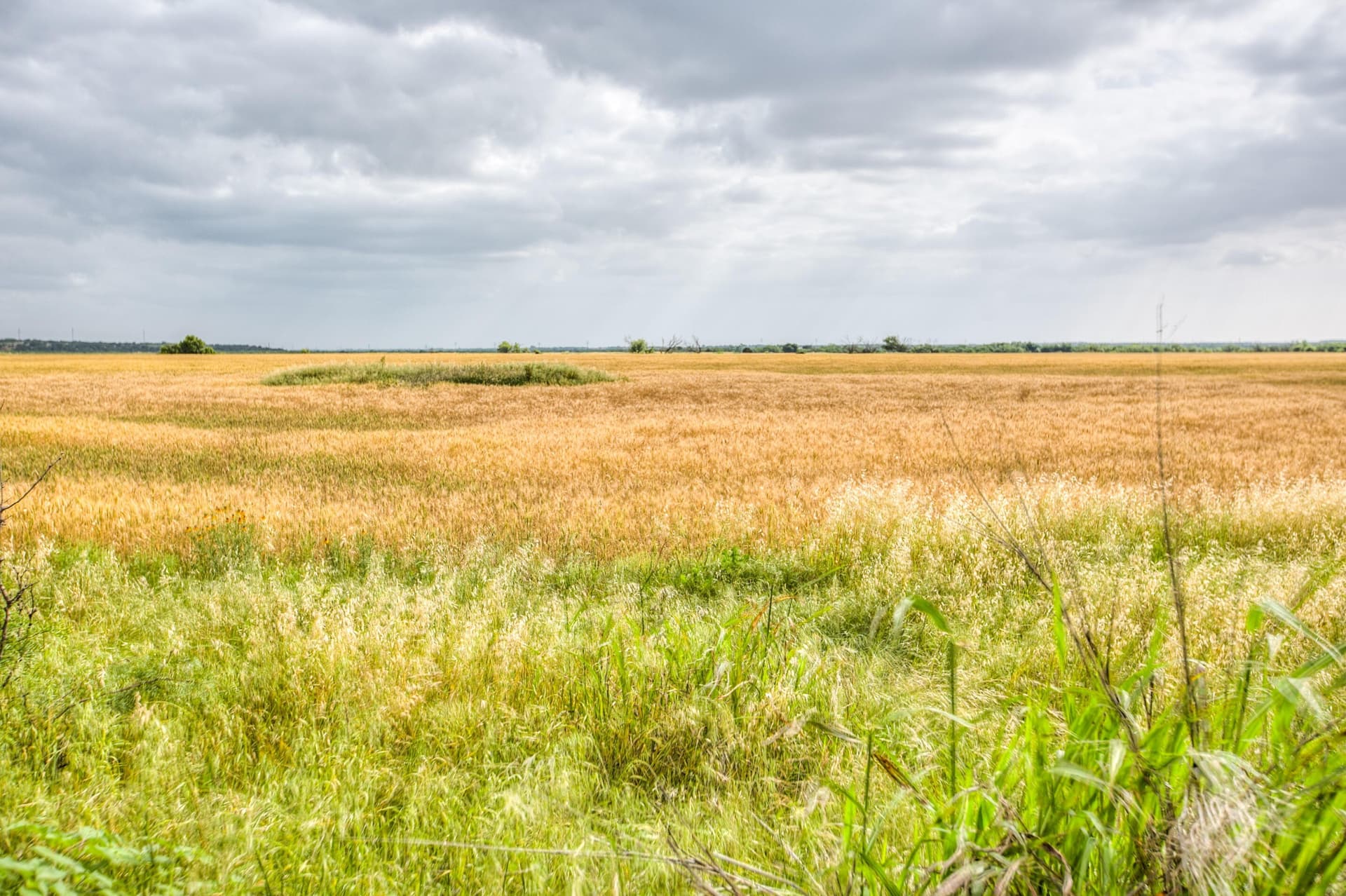 166.71 acres in Runnels County - photo 9
