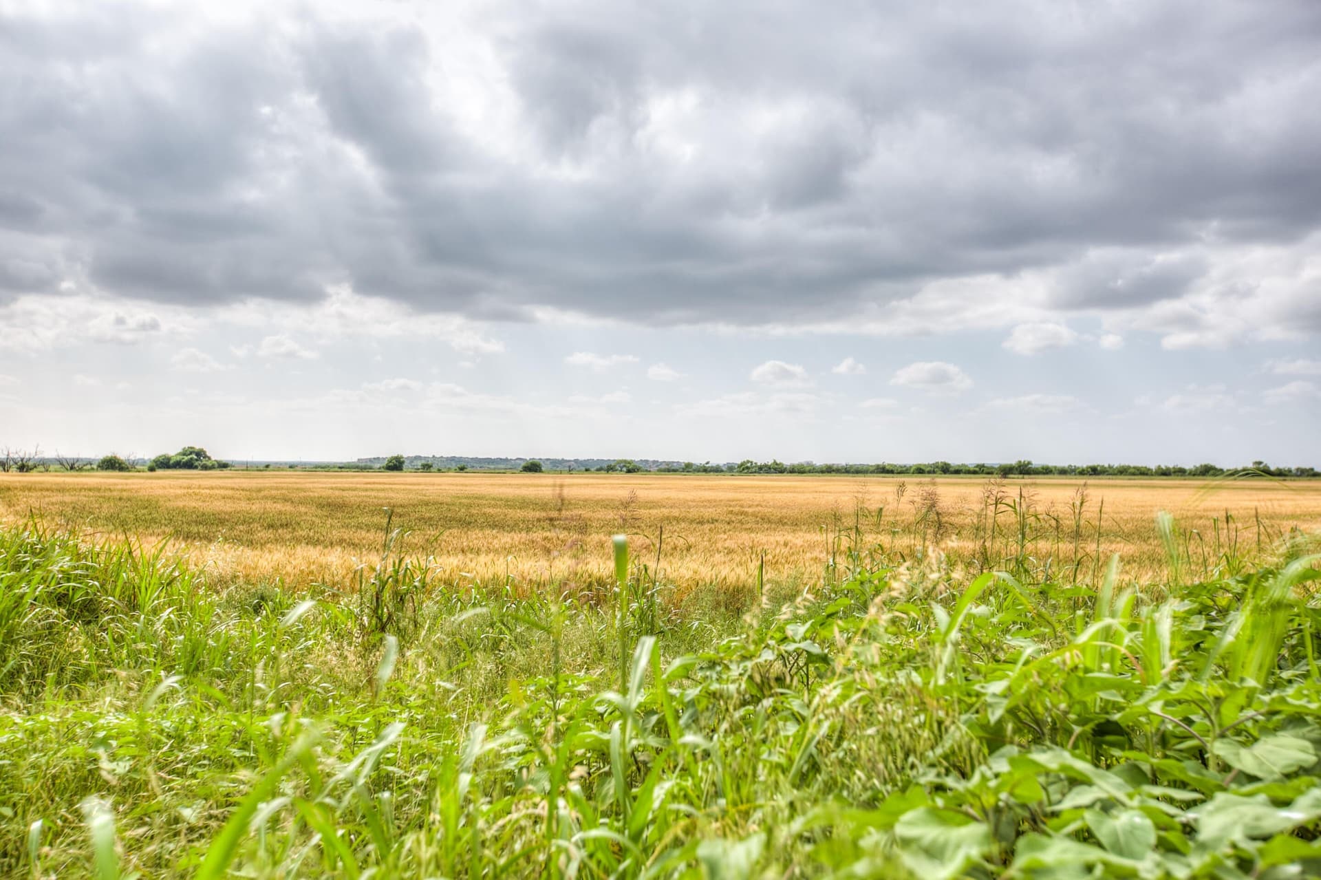 166.71 acres in Runnels County - photo 7