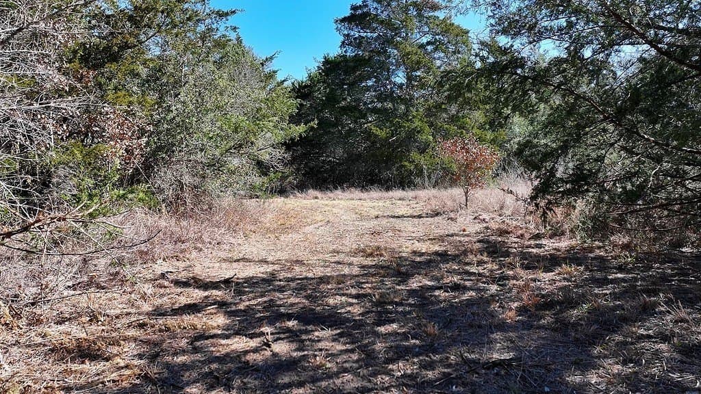 3.1 acres in Fayette County - photo 23