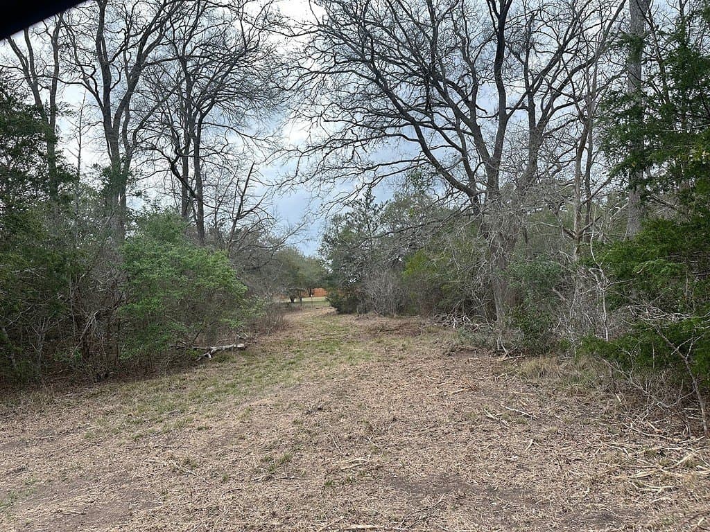 3.1 acres in Fayette County gallery image 2