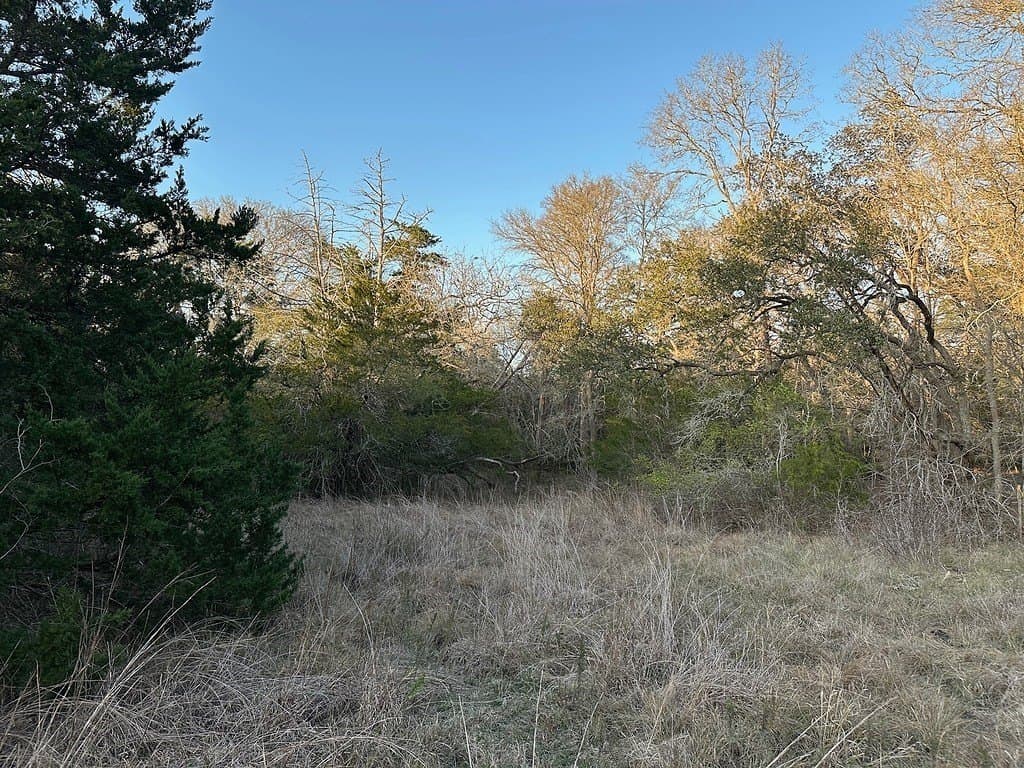3.1 acres in Fayette County - photo 14