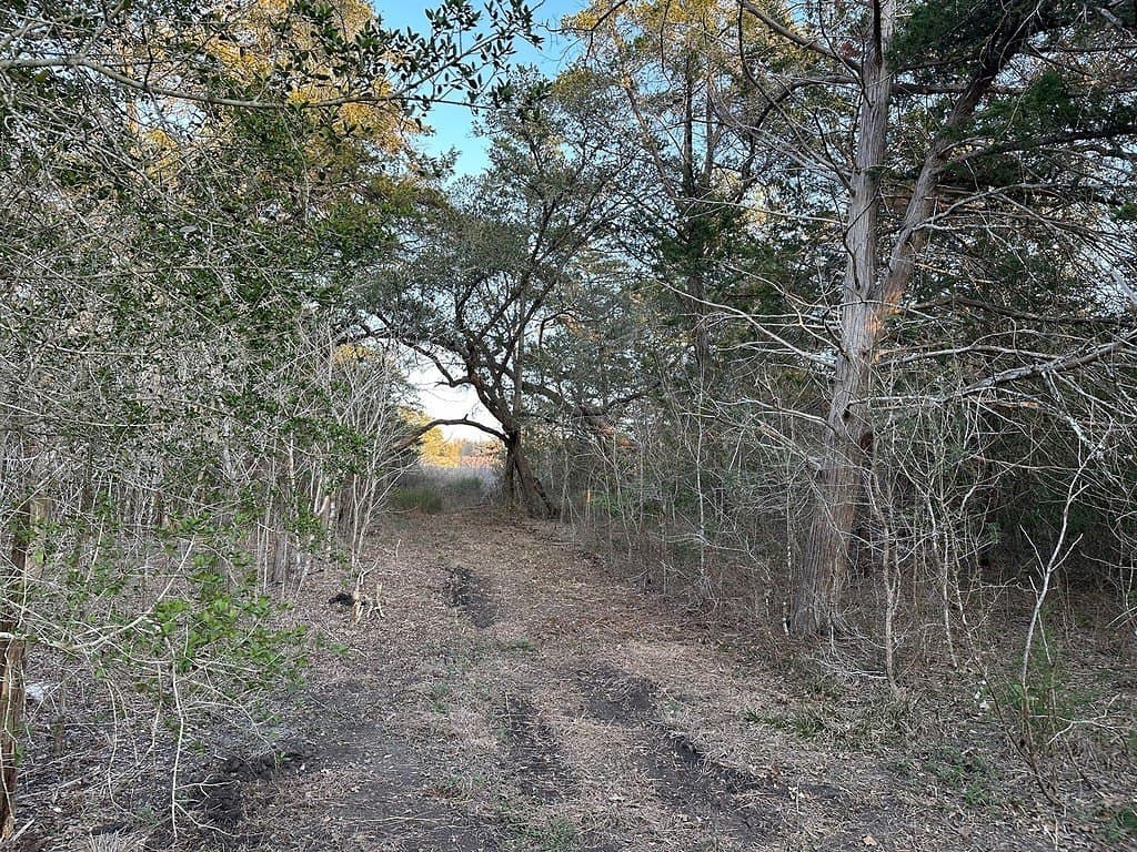 3.1 acres in Fayette County - photo 13