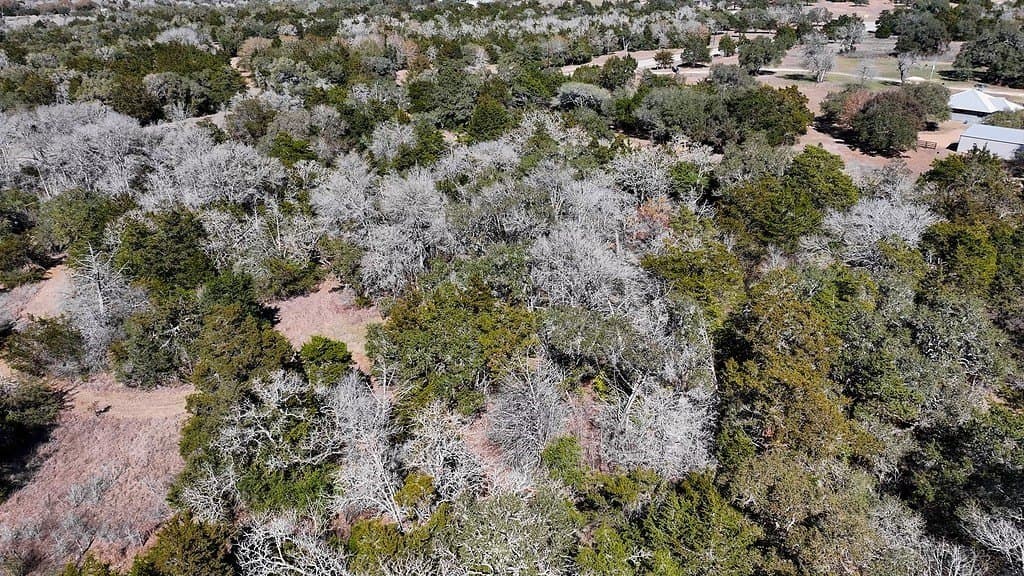 3.1 acres in Fayette County - photo 18