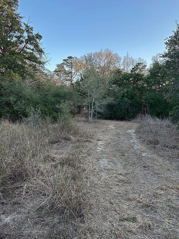 3.1 acres in Fayette County - photo 27
