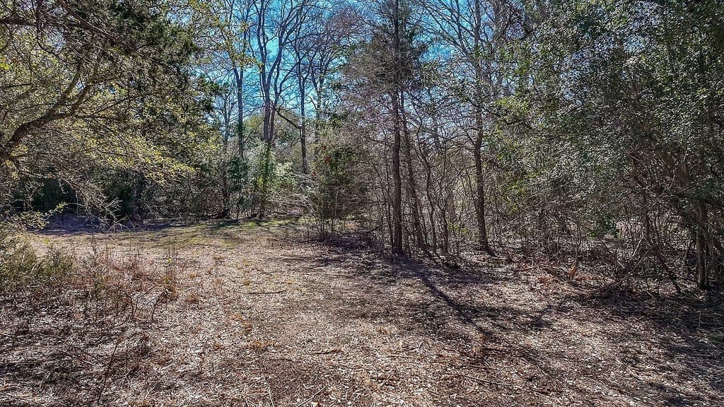 3.1 acres in Fayette County - photo 11