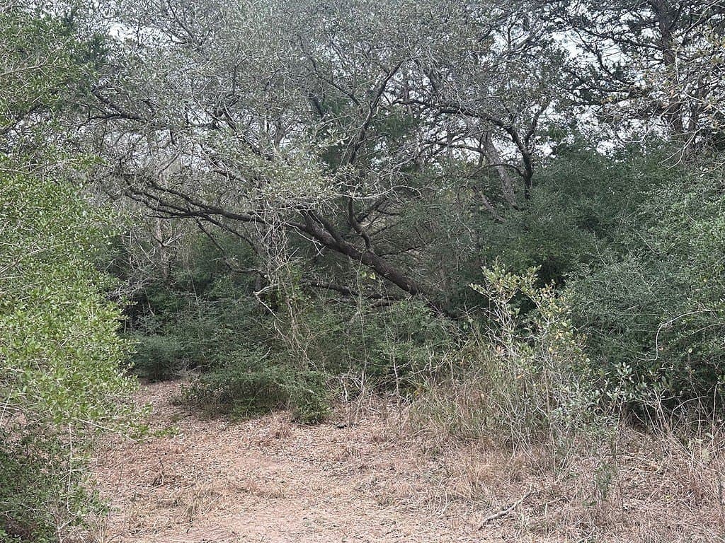 3.1 acres in Fayette County - photo 9
