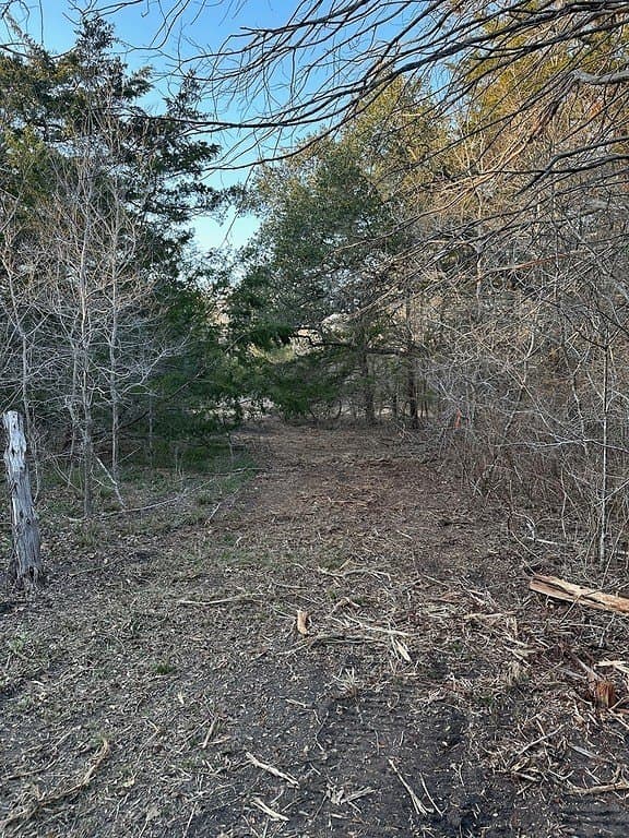 3.1 acres in Fayette County - photo 7