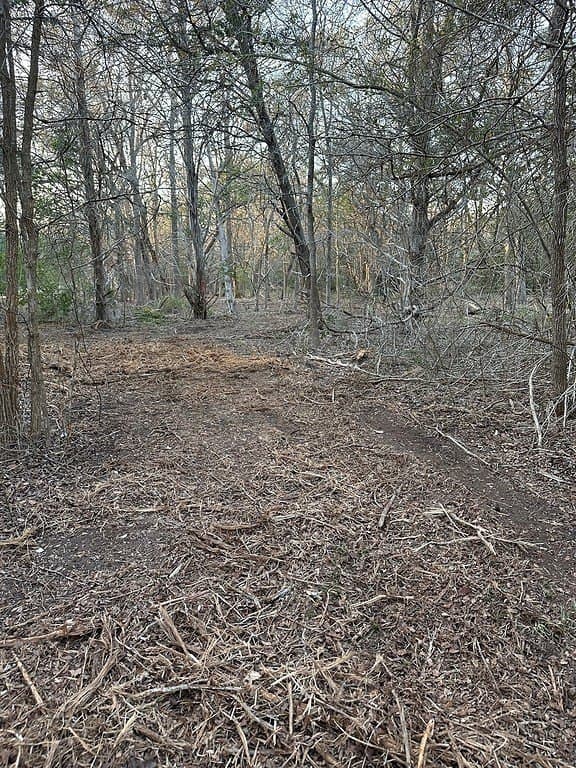 3.1 acres in Fayette County - photo 8