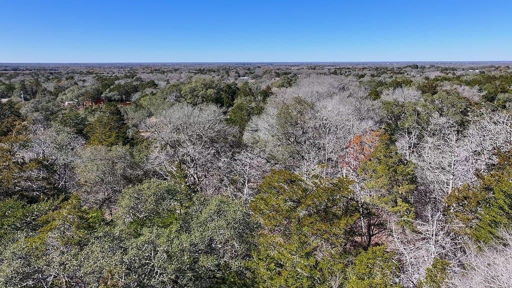 3.1 acres in Fayette County - photo 17