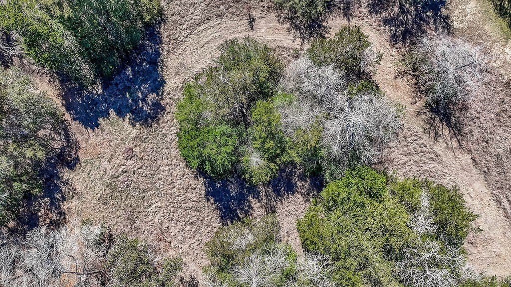 3.1 acres in Fayette County - photo 19