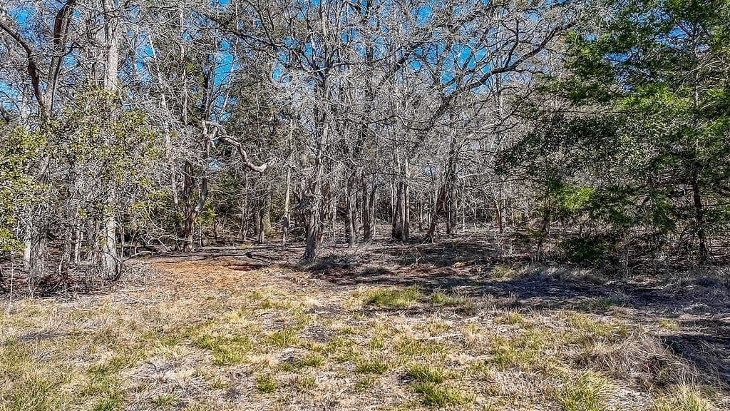 3.1 acres in Fayette County - photo 21