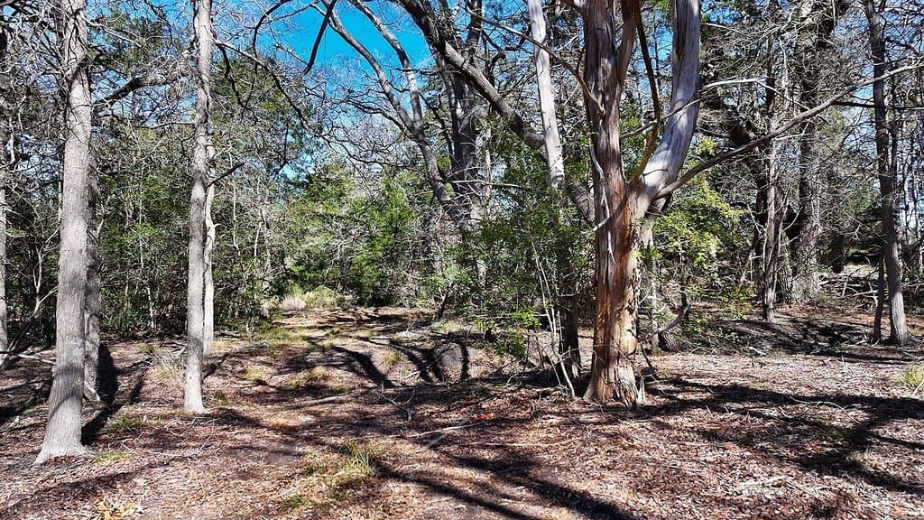 3.1 acres in Fayette County - photo 20