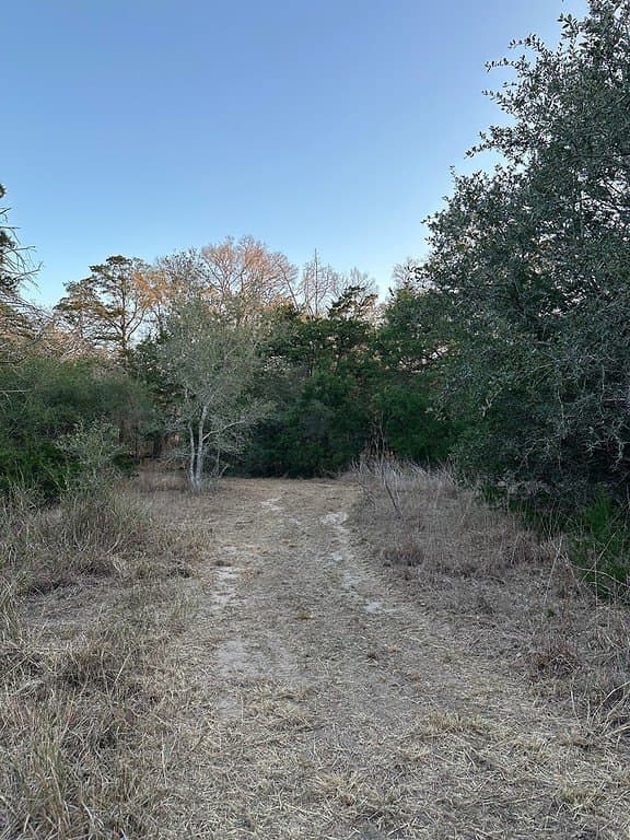 3.1 acres in Fayette County gallery image 4