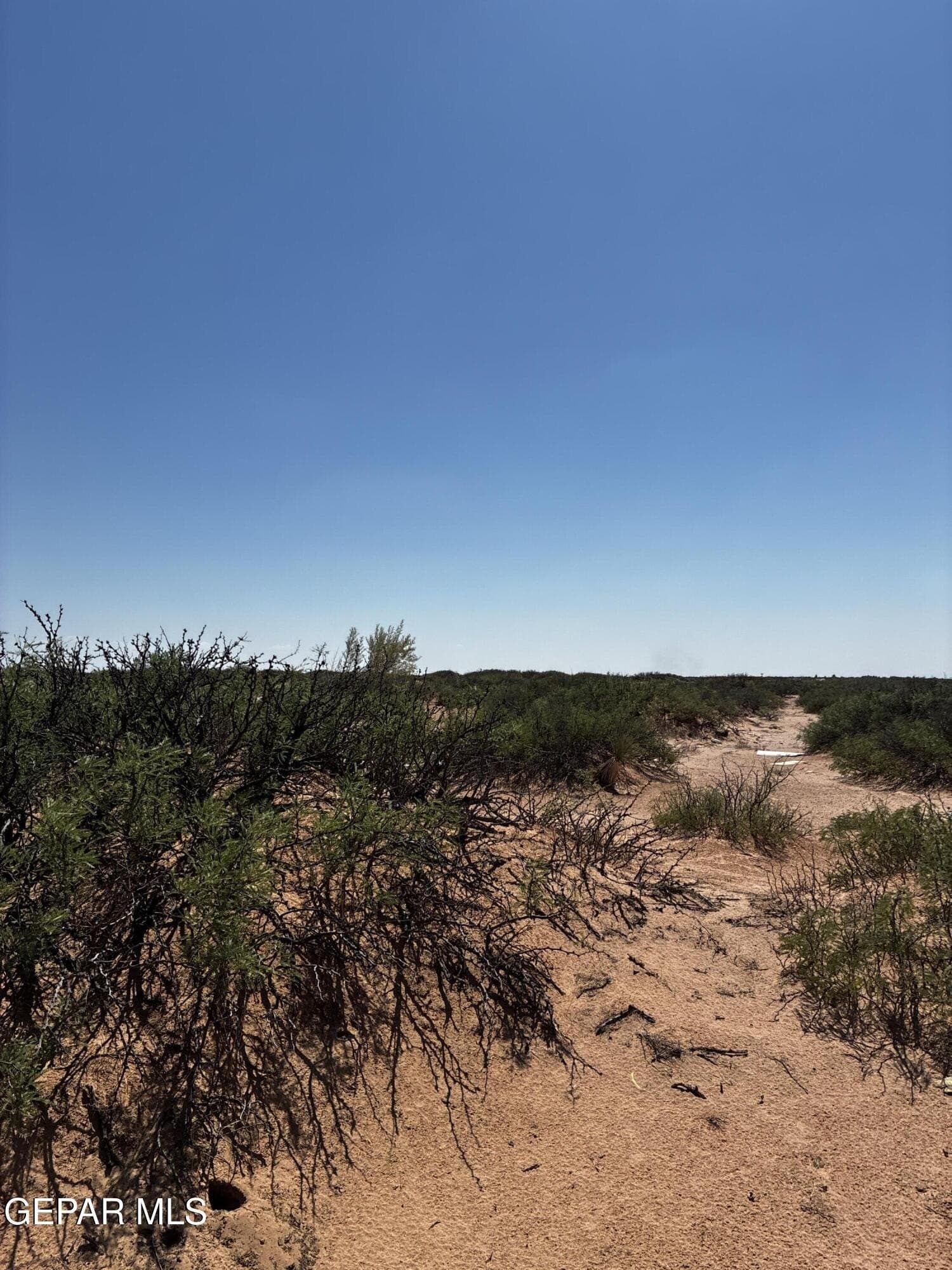 0.83 acres in El Paso County gallery image 4