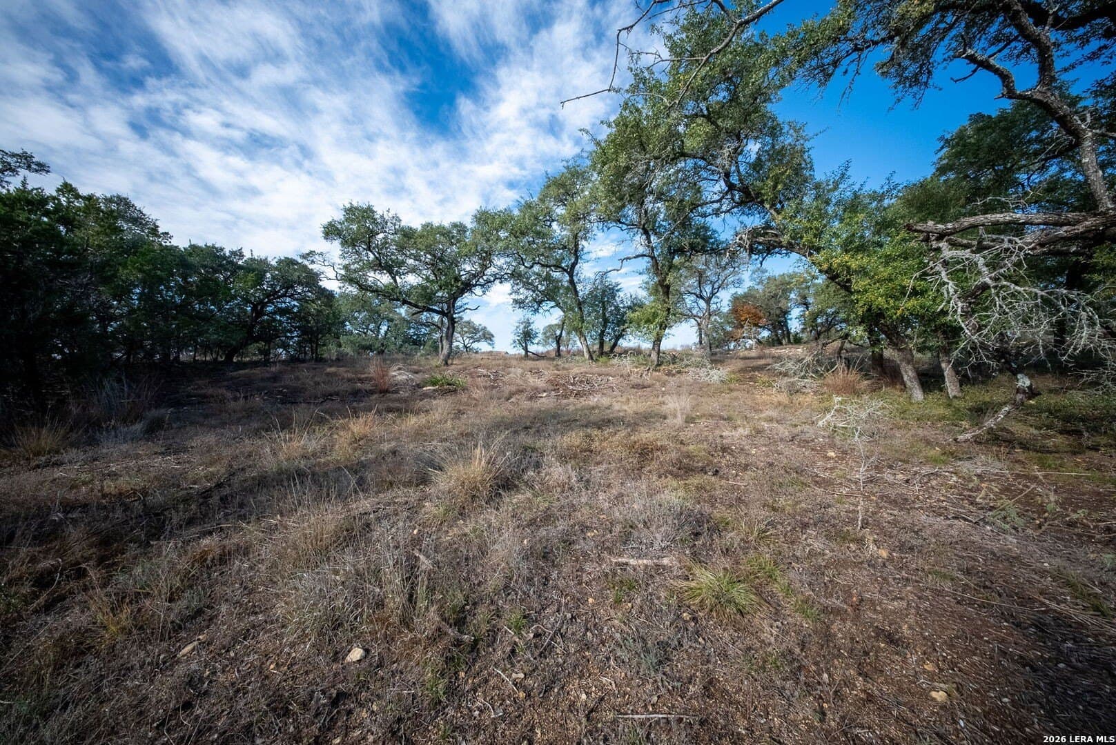 1.75 acres in Comal County featured view