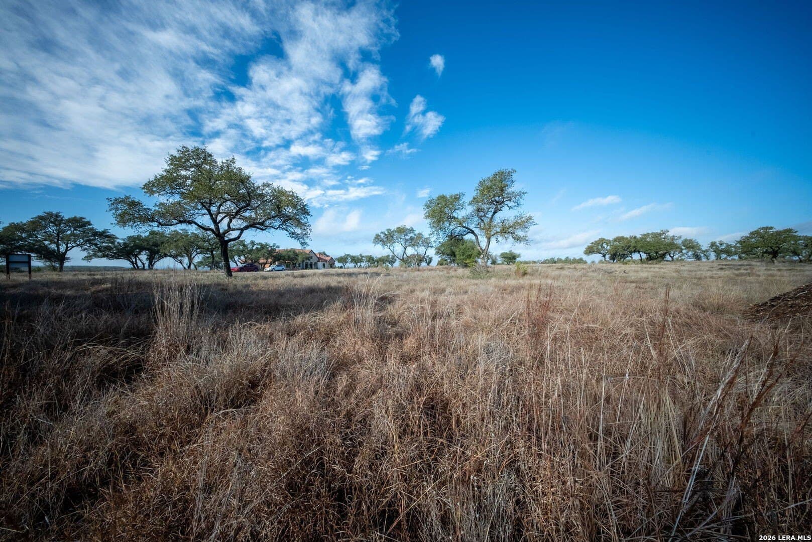 1.75 acres in Comal County gallery image 4