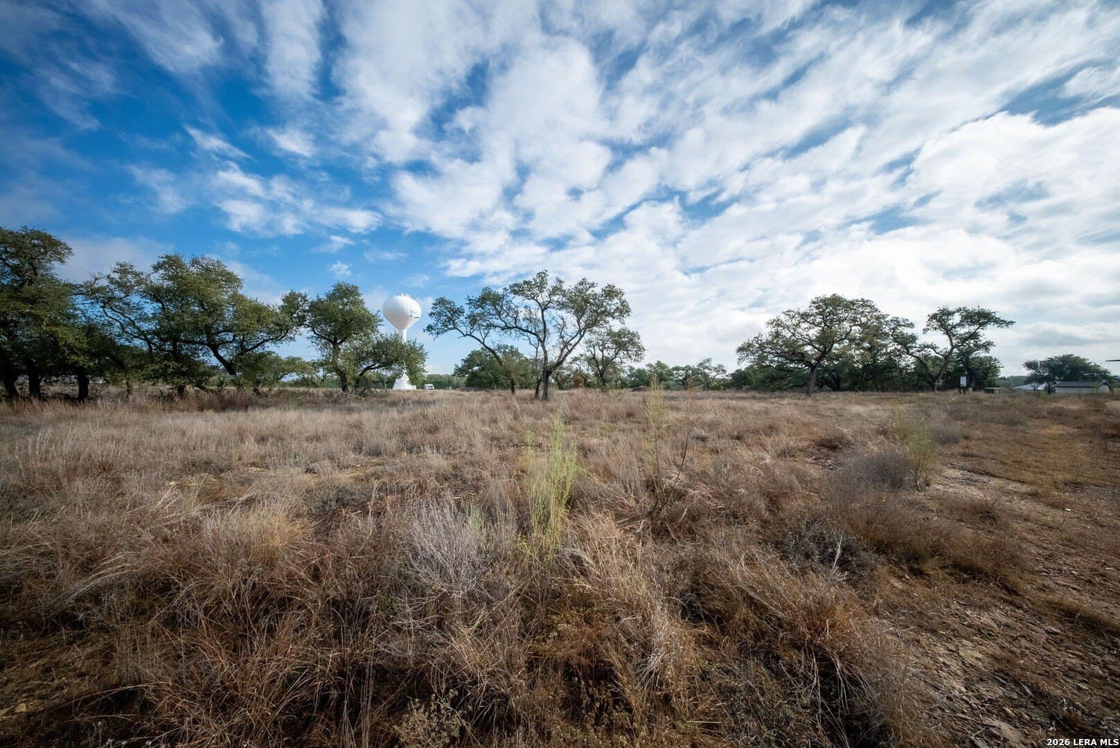 1.75 acres in Comal County gallery image 2