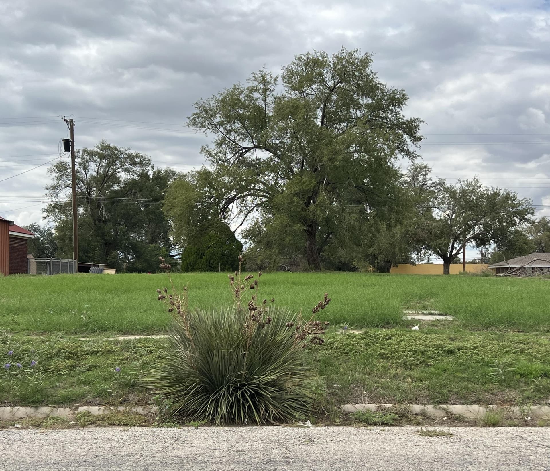 0.22 acres in Lamb County