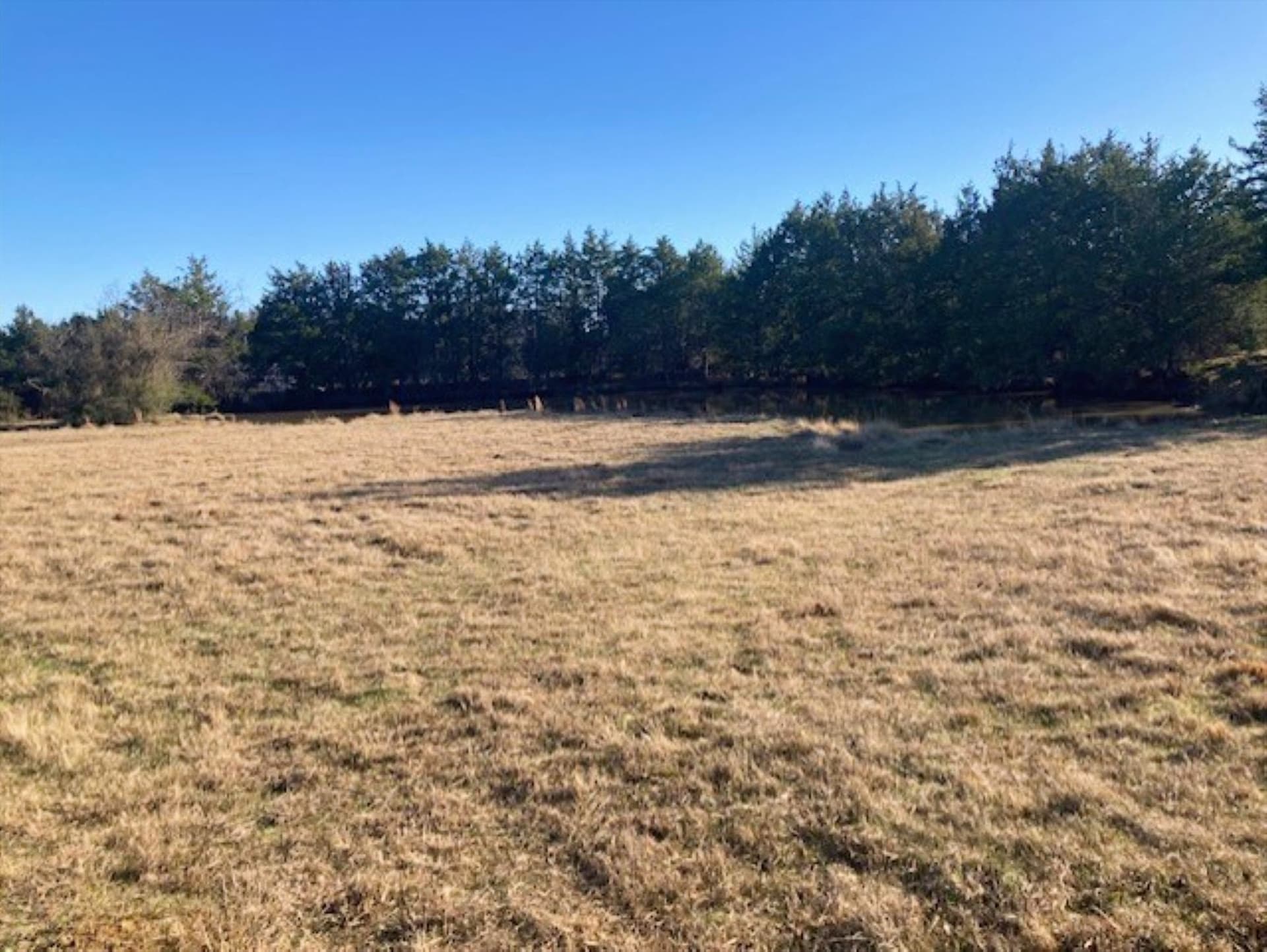 22 acres in Grayson County - photo 15
