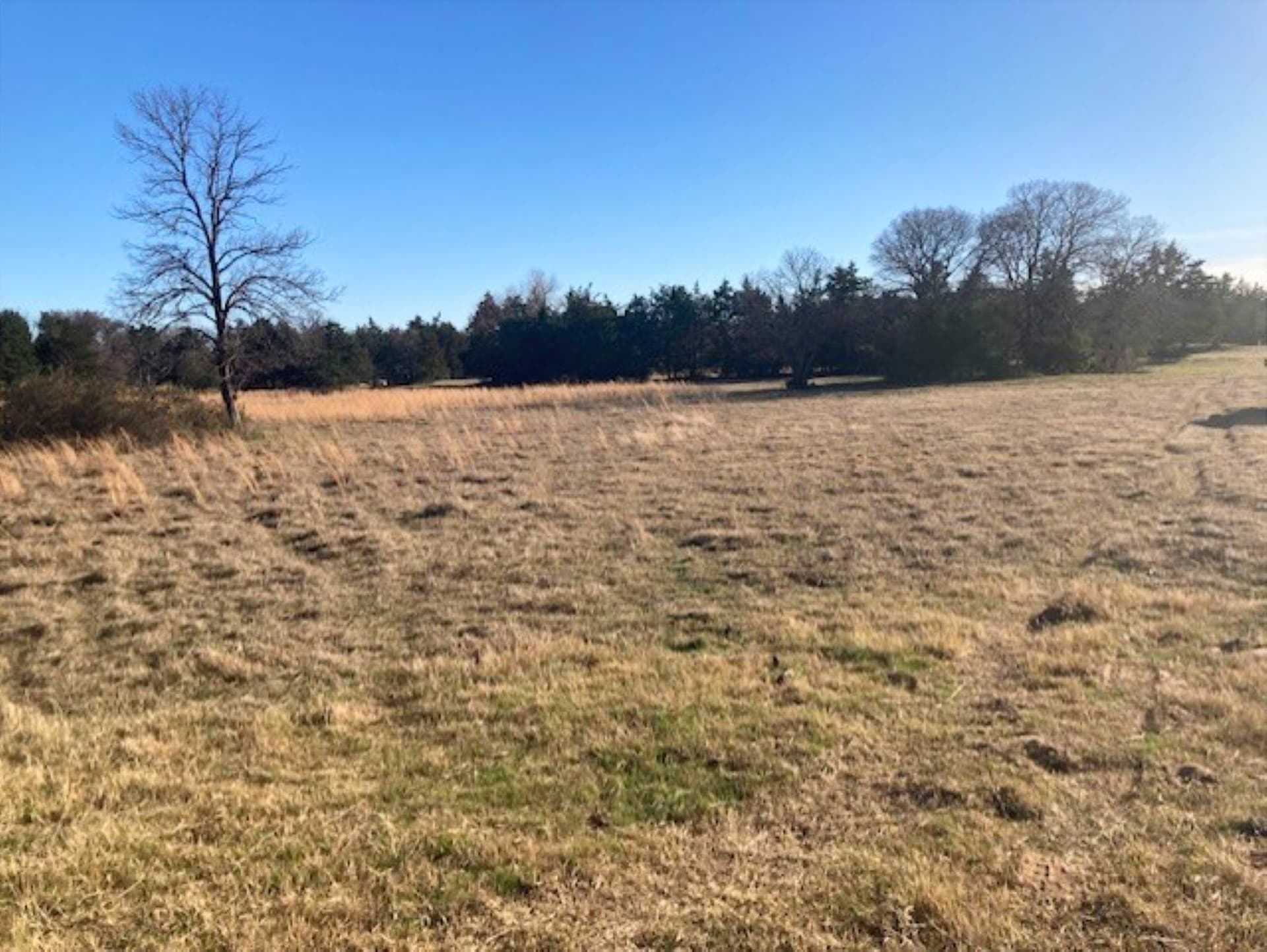 22 acres in Grayson County - photo 25