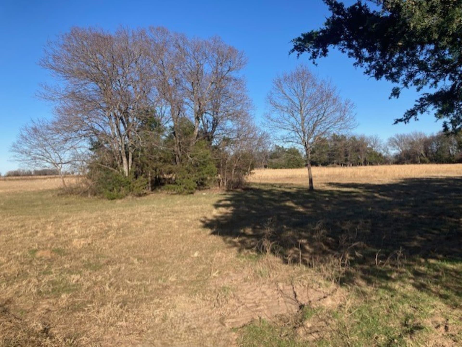 22 acres in Grayson County - photo 16