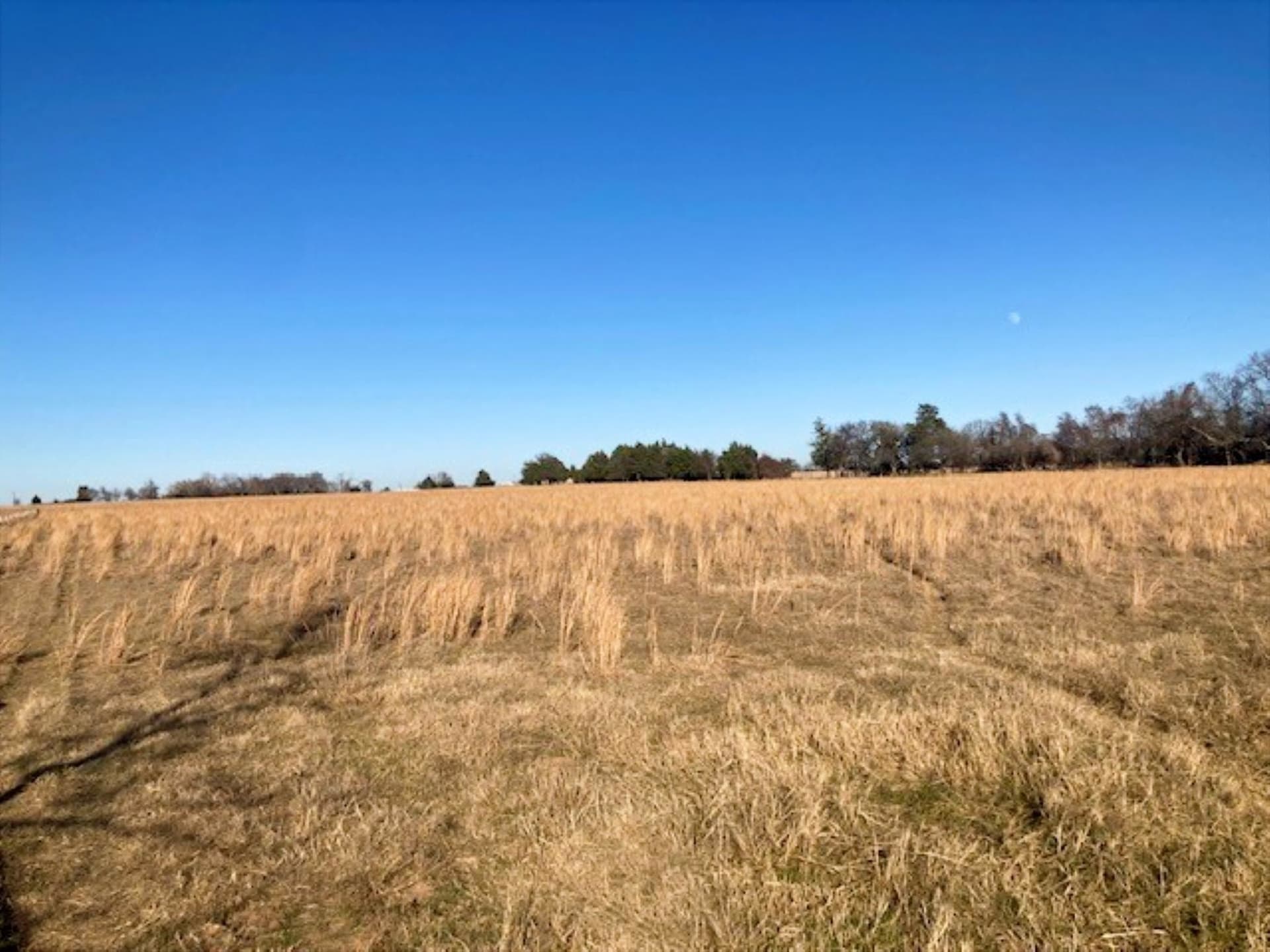 22 acres in Grayson County - photo 23