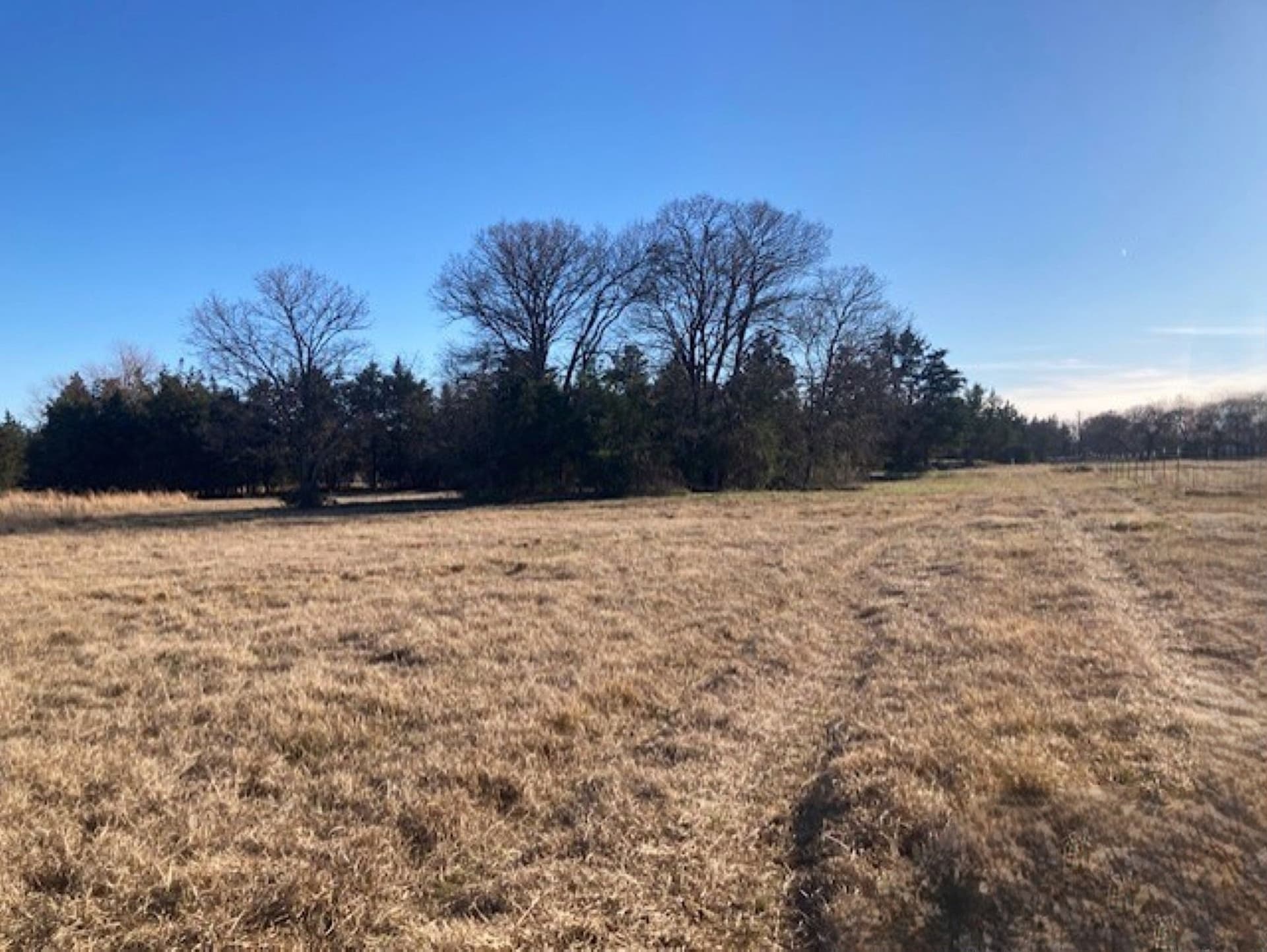 22 acres in Grayson County - photo 22